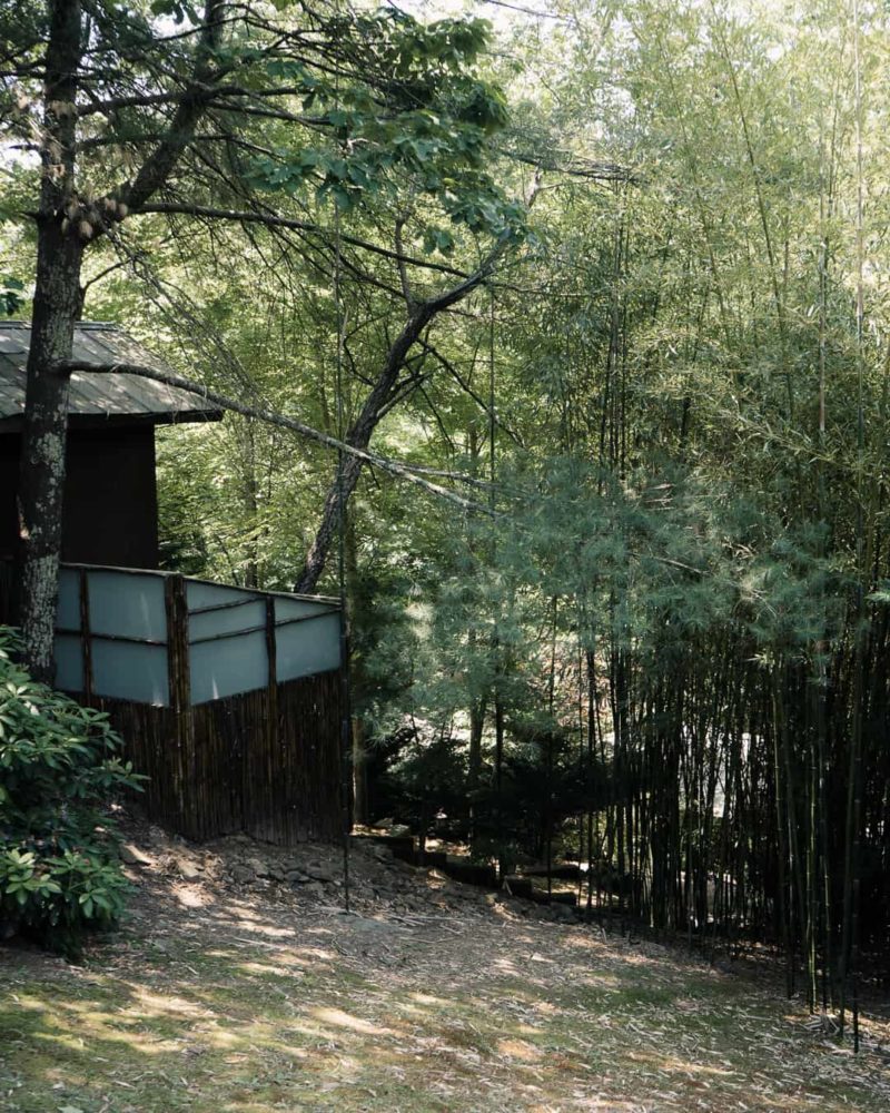 a partial exterior shot of shoji spa and the nature surrounding it