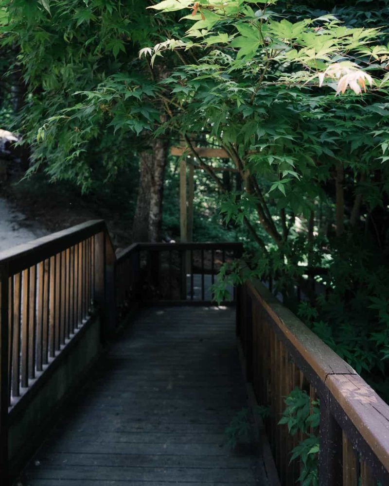 the wooden walkway in the forest leading to shoji spa
